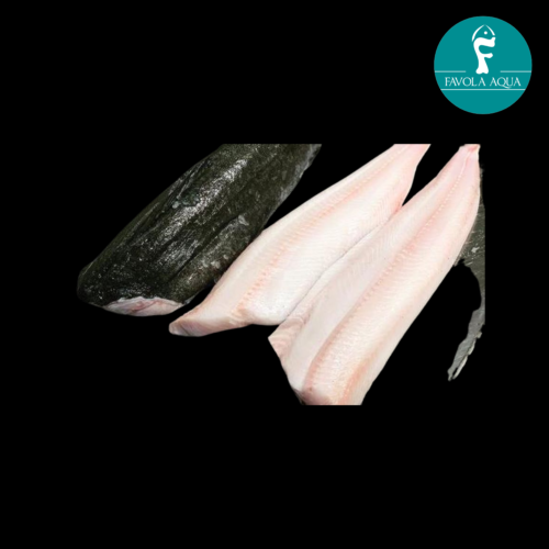 Black Cod