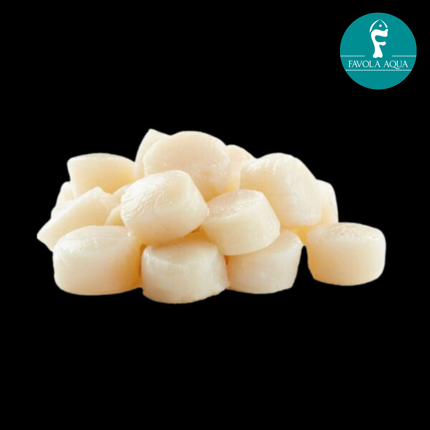 6dfdfdf.png Scallops Hotate