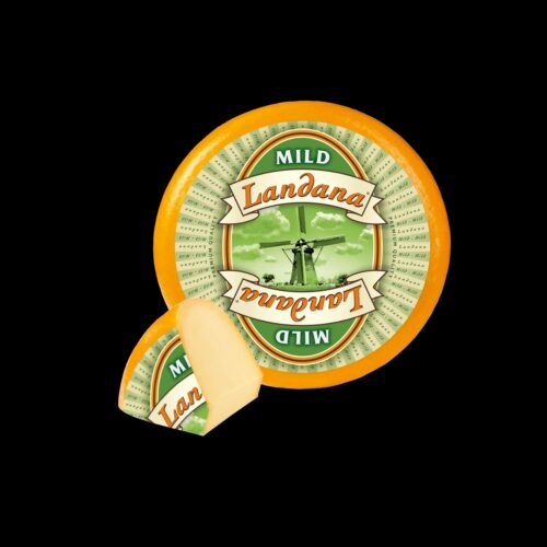 Premium Dutch Gouda 4.5kg