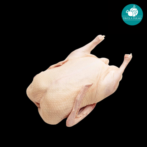 Premium Dressed Duck-Free Range Grain Fed 2.2kg